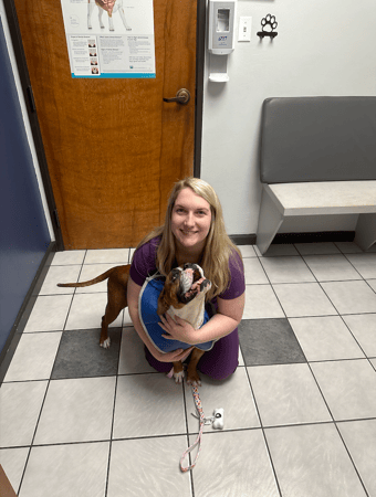 Images VCA Preston Park Animal Hospital