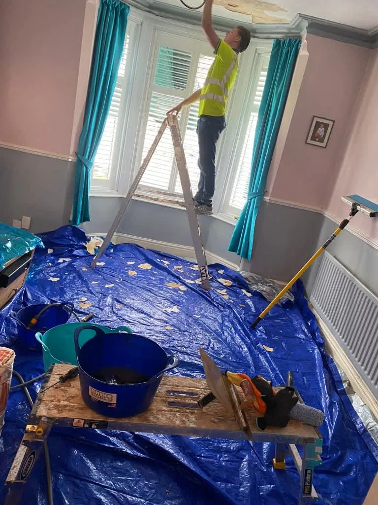 Images Verisure Damp Proofing & Plastering