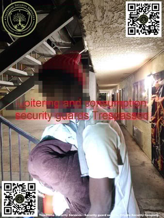 Images TreeStone Security Services