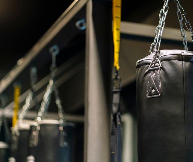 Images Aguirre's Fighting System