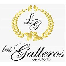 Mariachi Los Galleros De Vallarta Logo