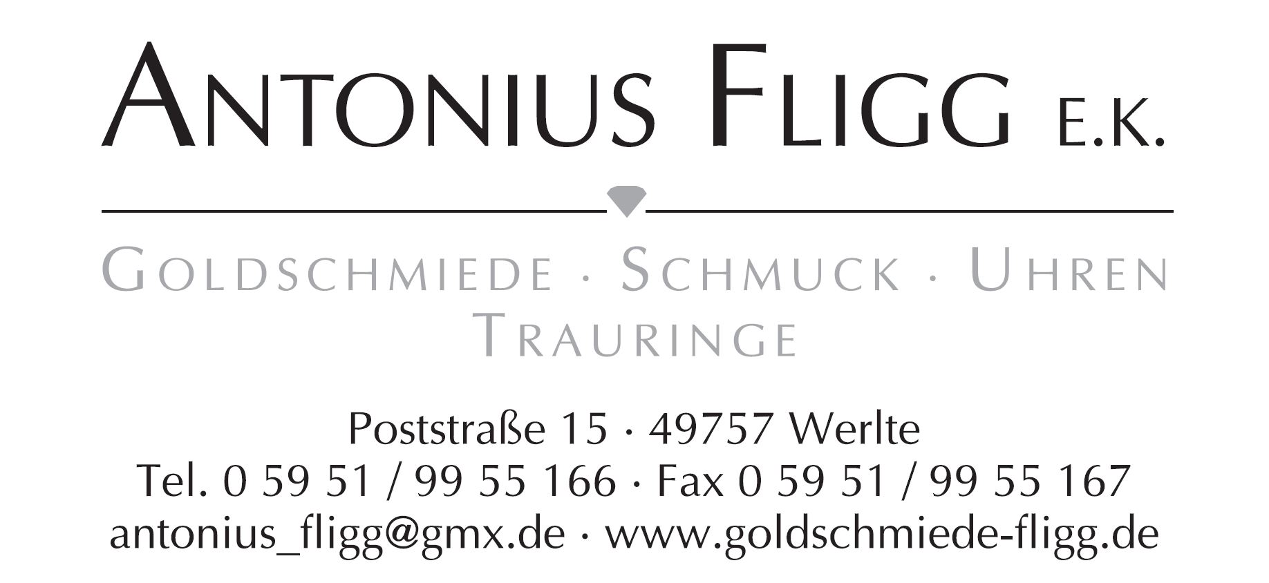 ANTONIUS FLIGG e.K. - Goldschmiede - Schmuck - Uhren - Trauringe, Poststraße 15 in Werlte