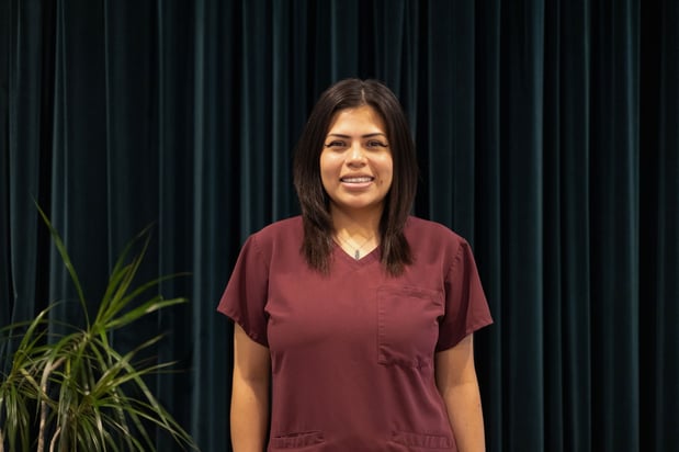 Images Dallas Veterinary Concierge