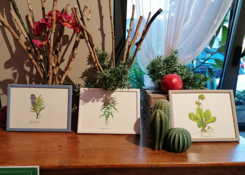 Images Erboristeria Natura per Te