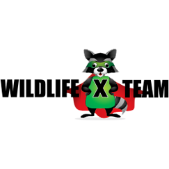 Wildlife X Team