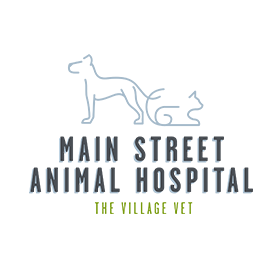 Main Street Animal Hospital
