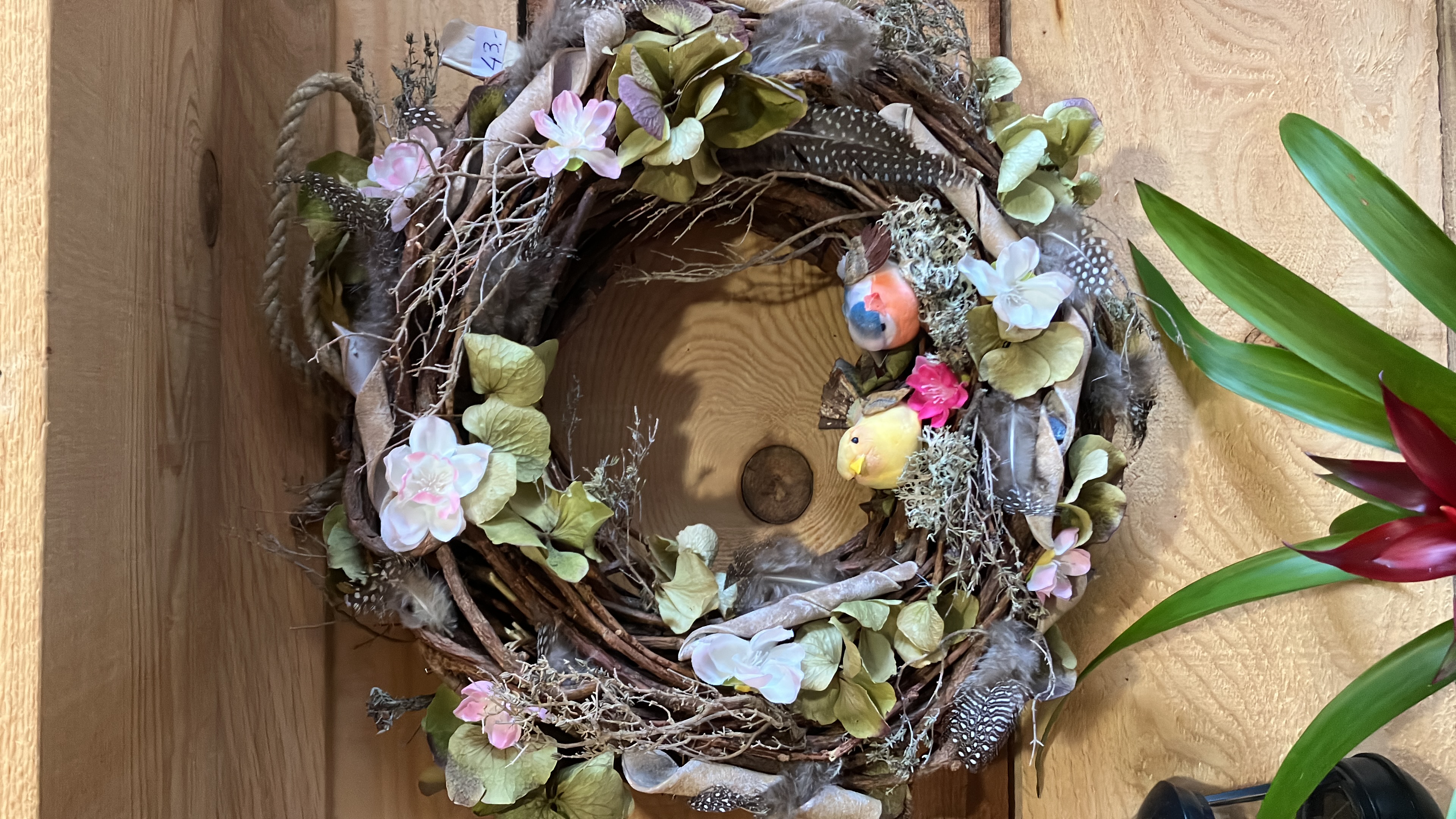 Bilder Fleurs d'Elfes