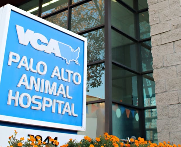 Images VCA Palo Alto Animal Hospital