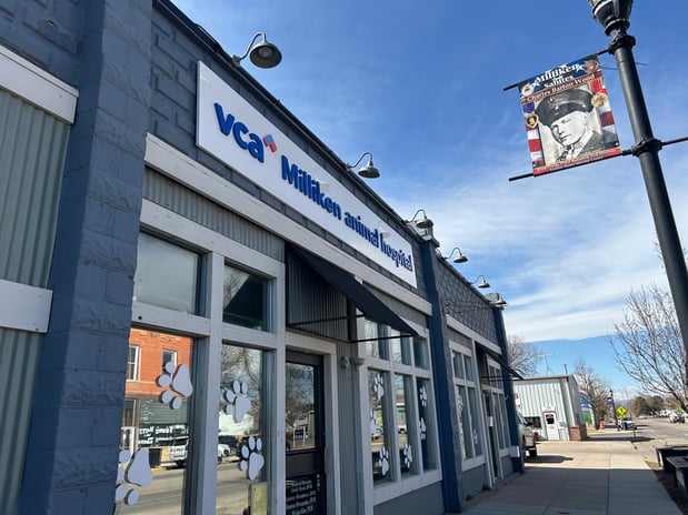 Images VCA Milliken Animal Hospital