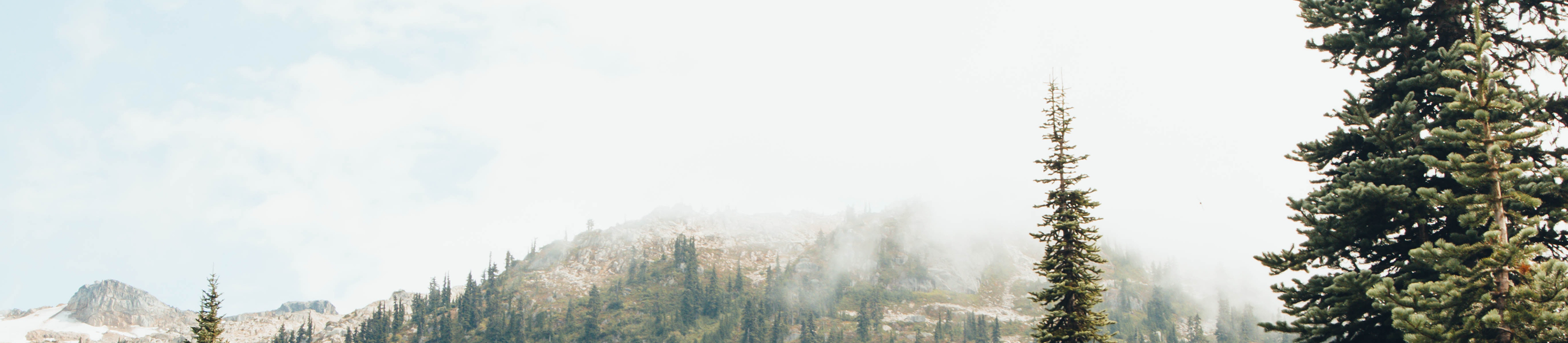 Snow-capped mountains and evergreen trees on a foggy day.