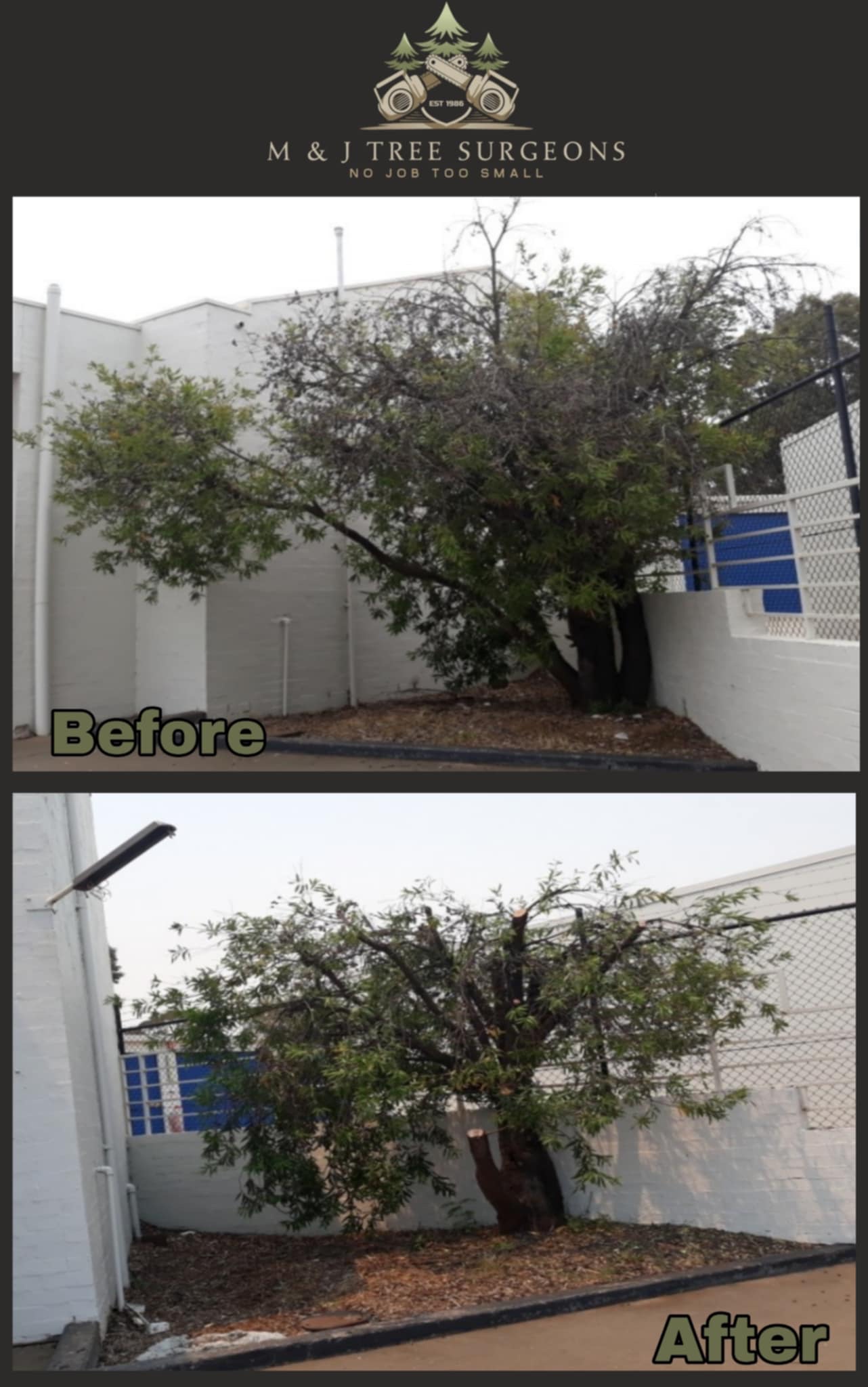 Images M & J Tree Surgeons