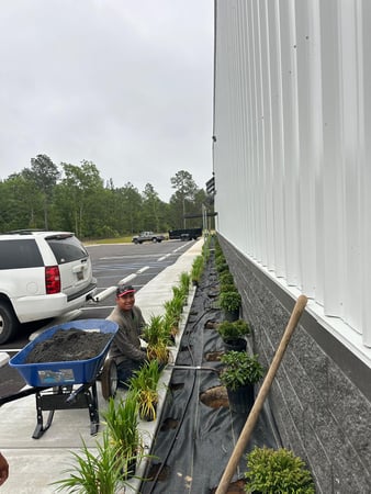 Images Juan Mata Lawn Care Services