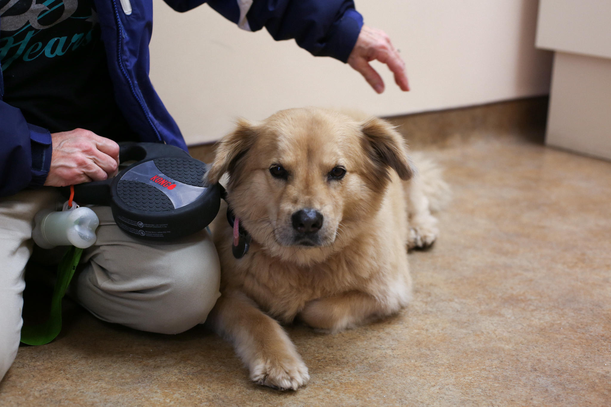 This sweet pup rests comfortably while her human companion provides medical history to Dr. Thomas Vinson.