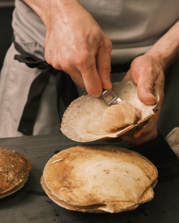 Images Aurelia at Castle Hill