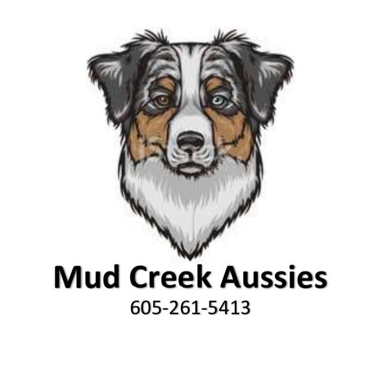 Mud Creek Aussies Logo