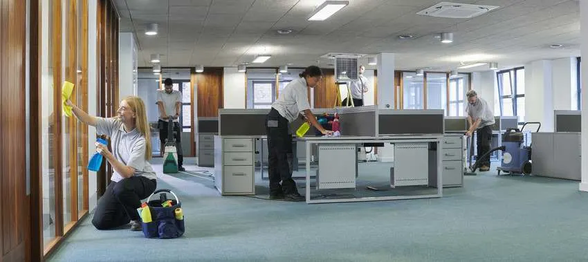 Images Rose The Cleaning Fairy Specialist