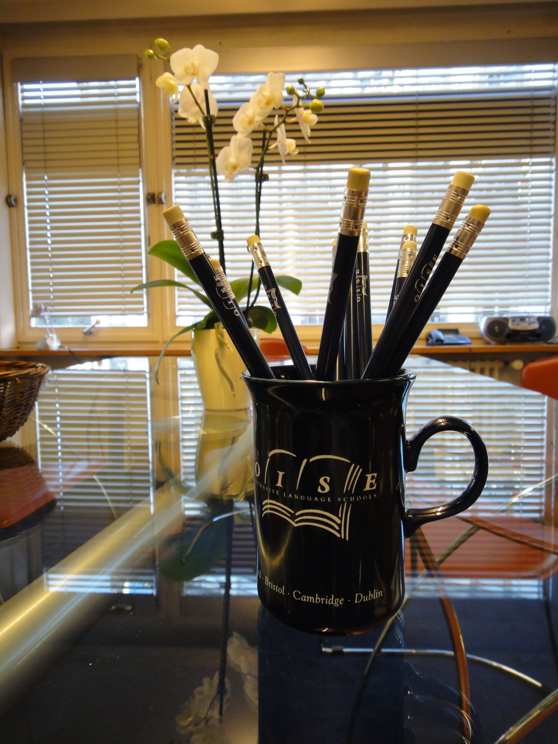 Bilder OISEsuisse SA