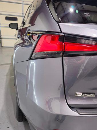 Images Top Dog Auto Ceramics