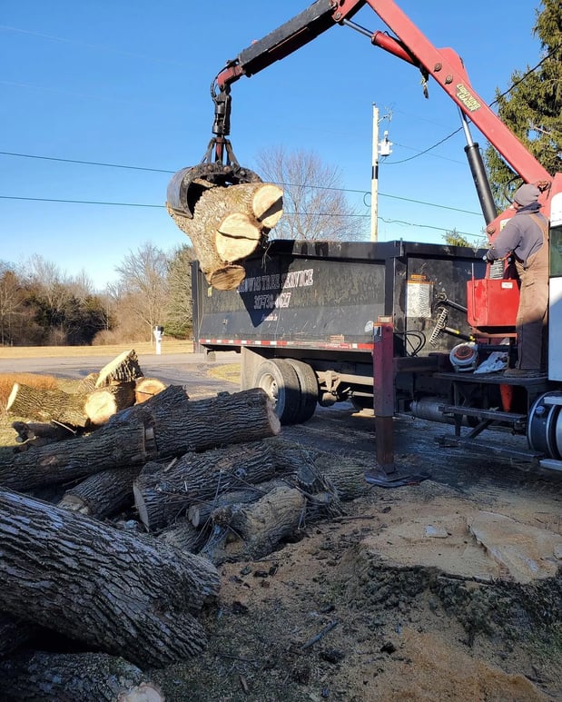 Images Brown's Tree Service LLC