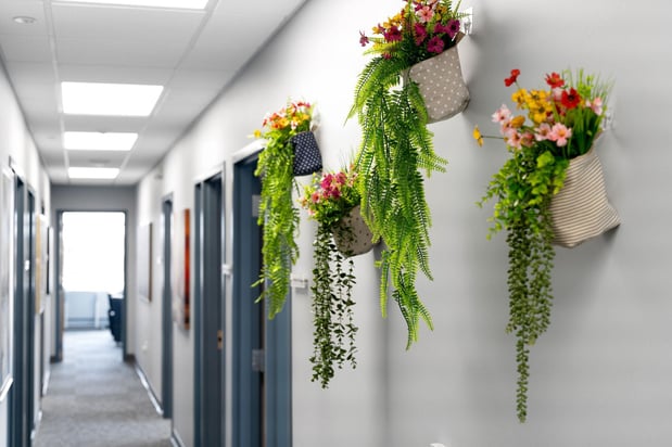 Images Pasadena Villa Outpatient Treatment Center - Grand Rapids