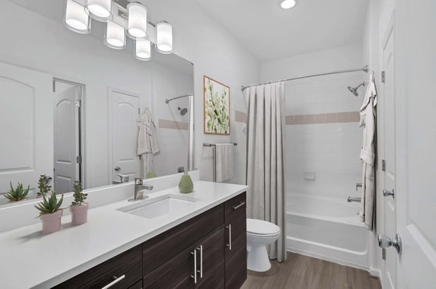 Images Camden College Park Apartments