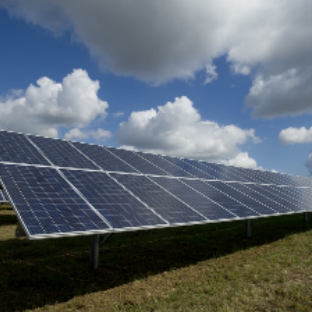 Solar Dino UG - GALLERY