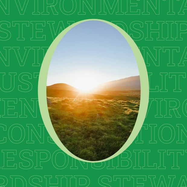 Images Where Food Comes From Inc