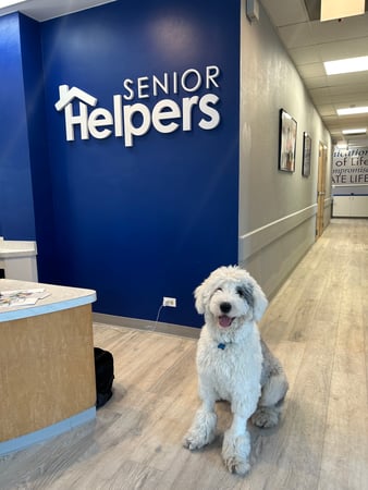 Images Senior Helpers