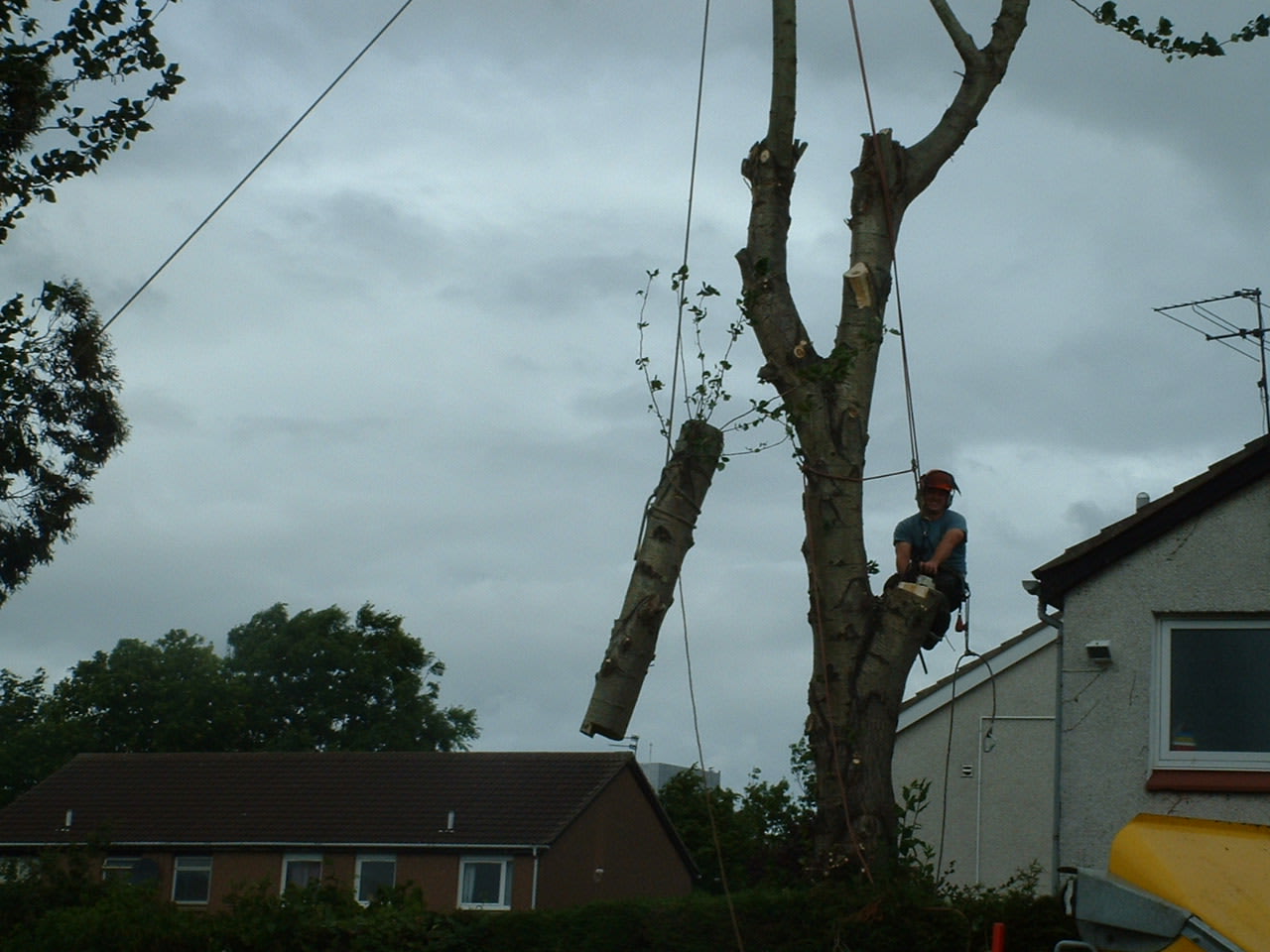 Images Central Tree Surgeons