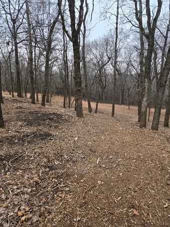 Images TK Land Management LLC