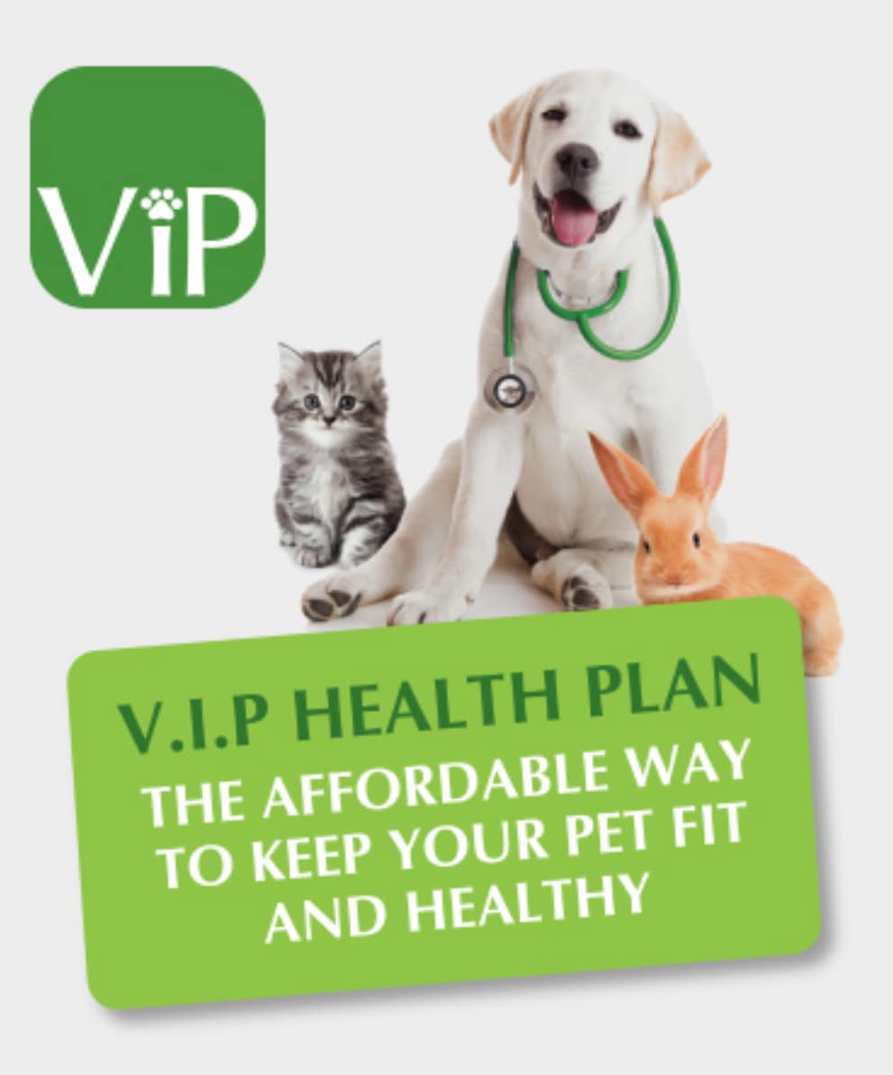 Images Streatham Hill Veterinary Surgery