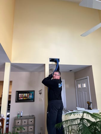 Images Premier Professional Cleaning Service