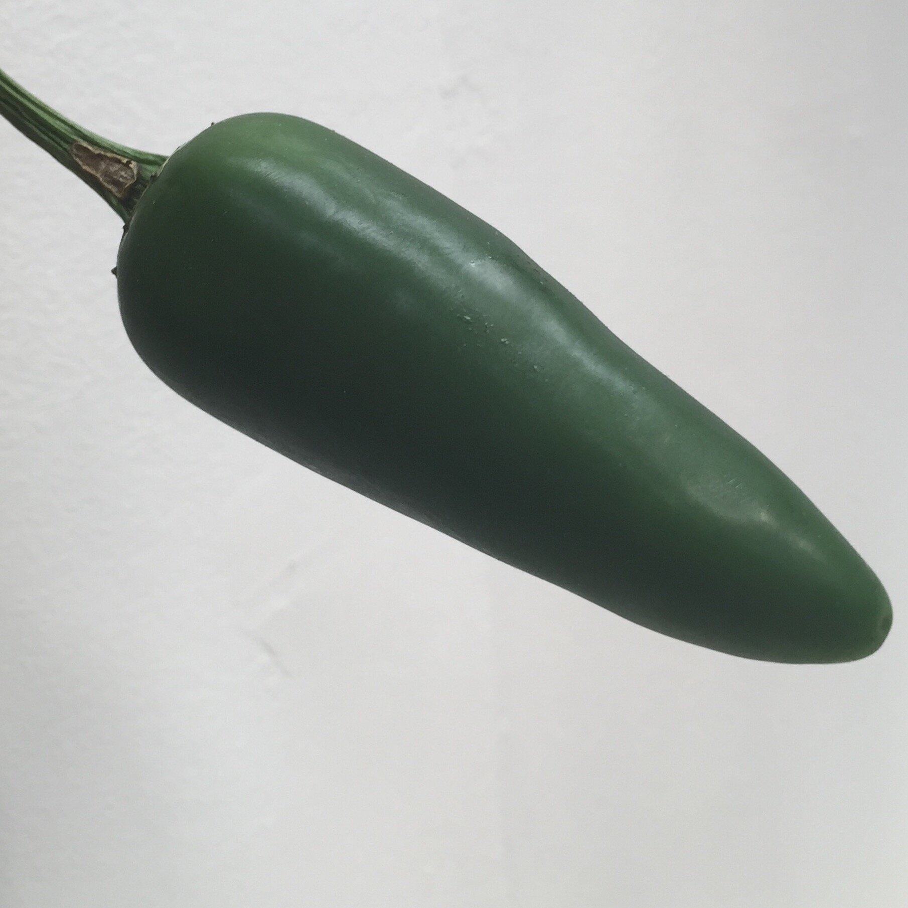 Images Chilli Mash Company