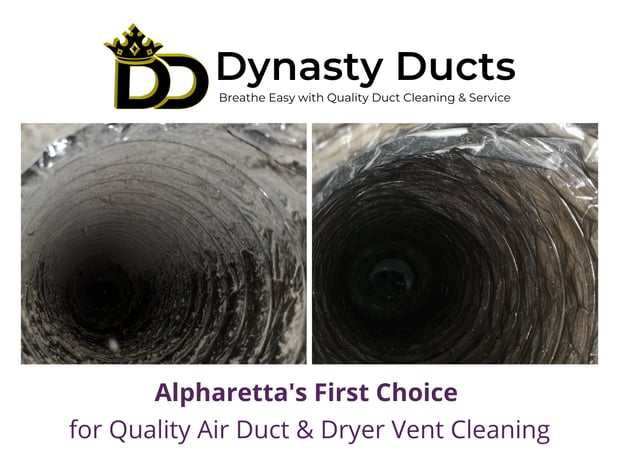 Images Dynasty Ducts