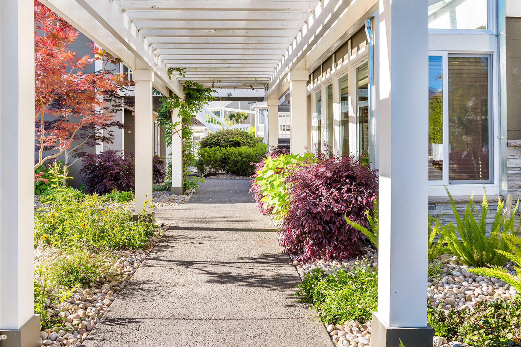 Calistoga spa hot springs discount coupon