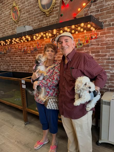 Puppies Direct Image