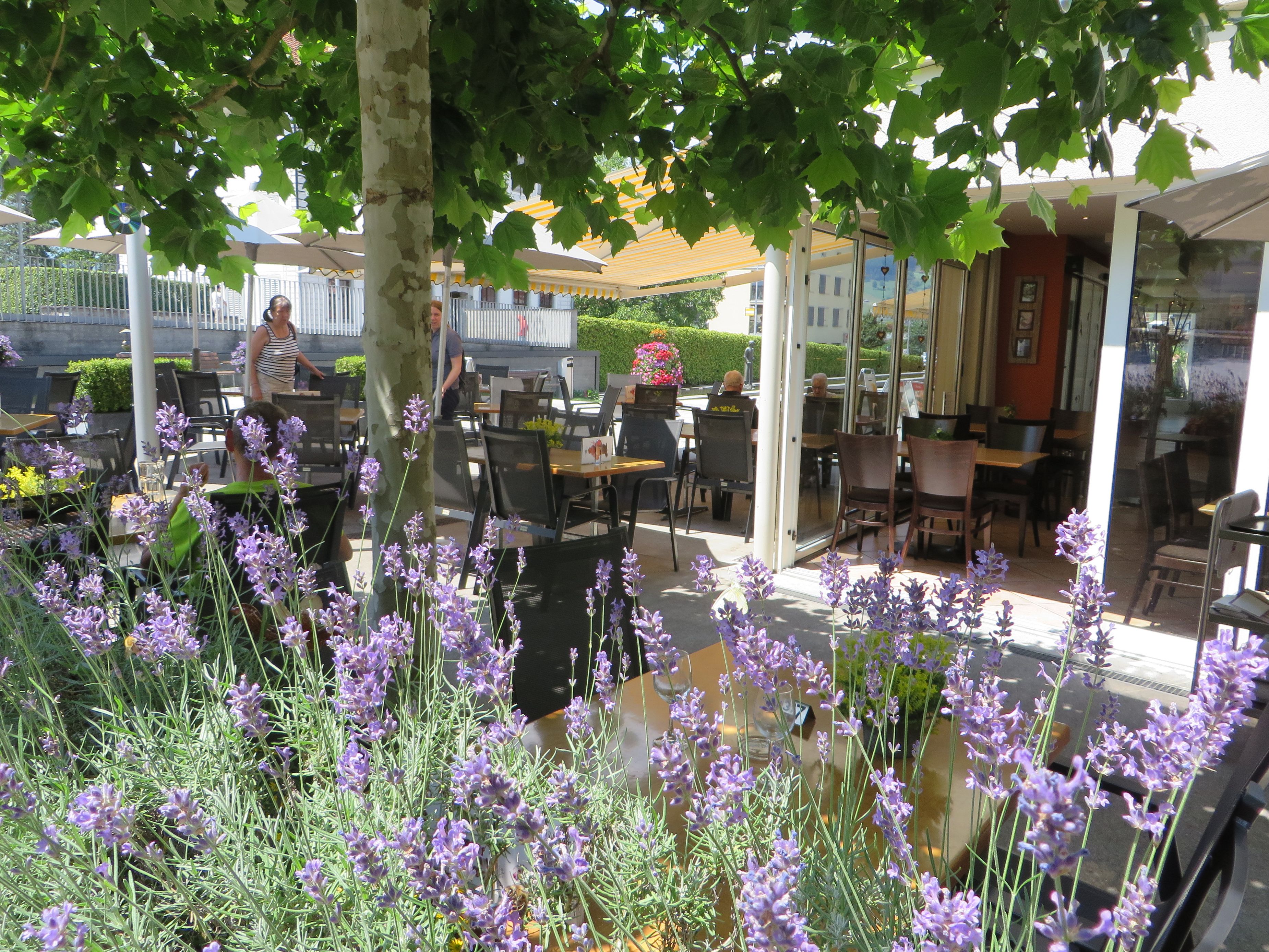 Bilder Café & Restaurant zumStein & Bäckerei