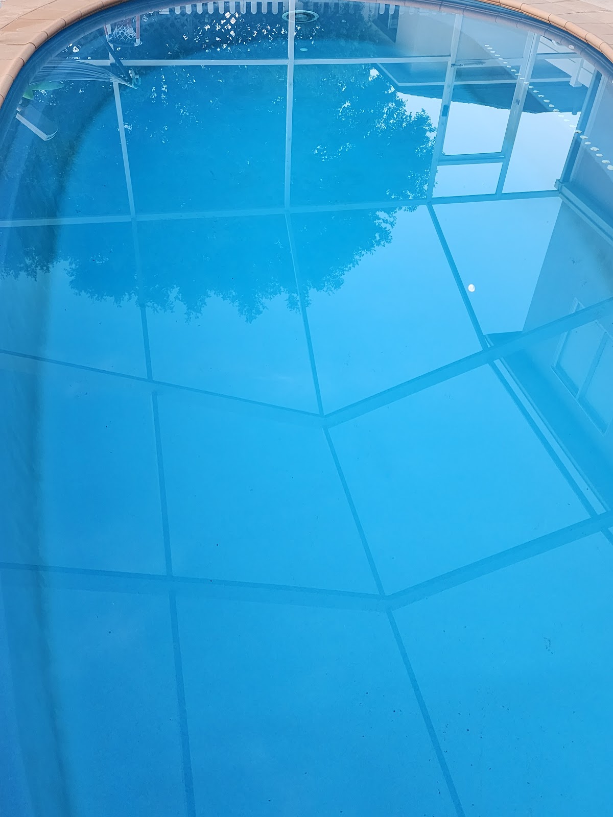 Close-up view of a clean residential swimming pool with bright blue water and visible screened-enclosure reflections.