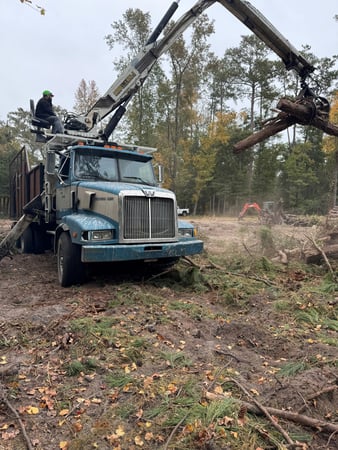 Images Magana Tree Service