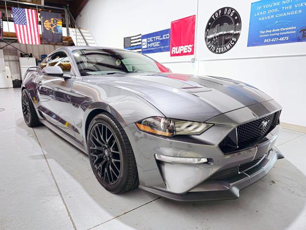 Images Top Dog Auto Ceramics