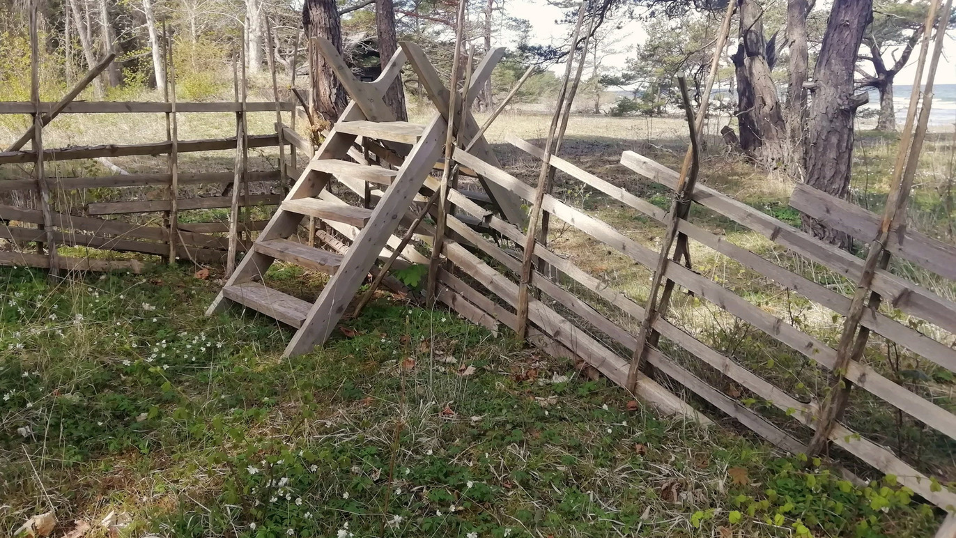 Images Glifbergs Skog och Entreprenad