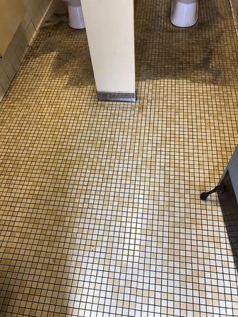 Images Zest Carpet Cleaning