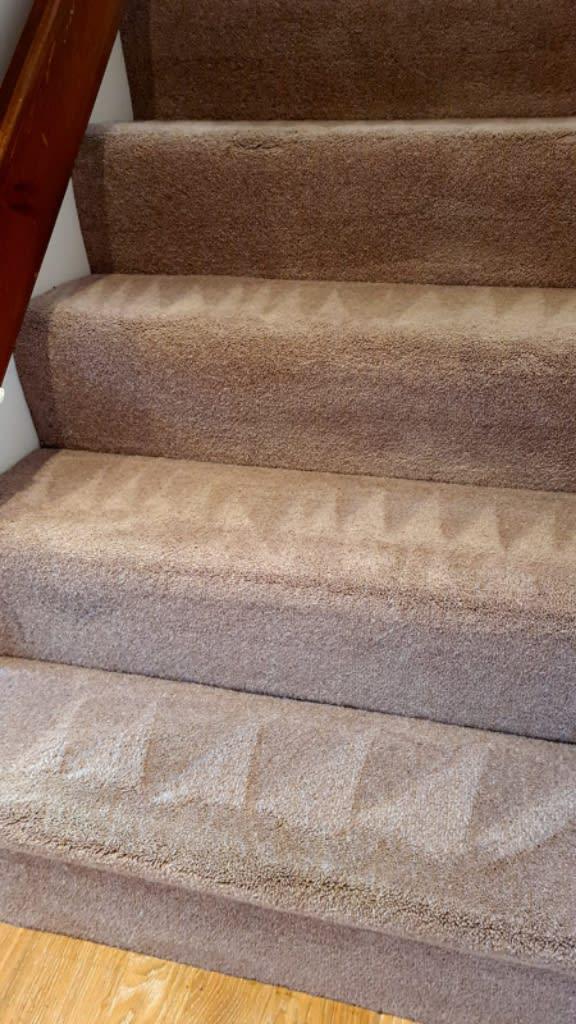 Images CASE Carpet Cleaning