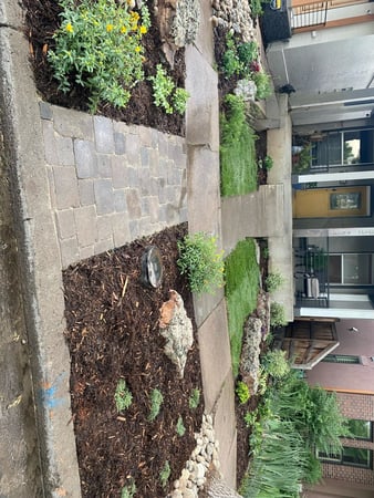 Images Timberline Gardens Landscaping