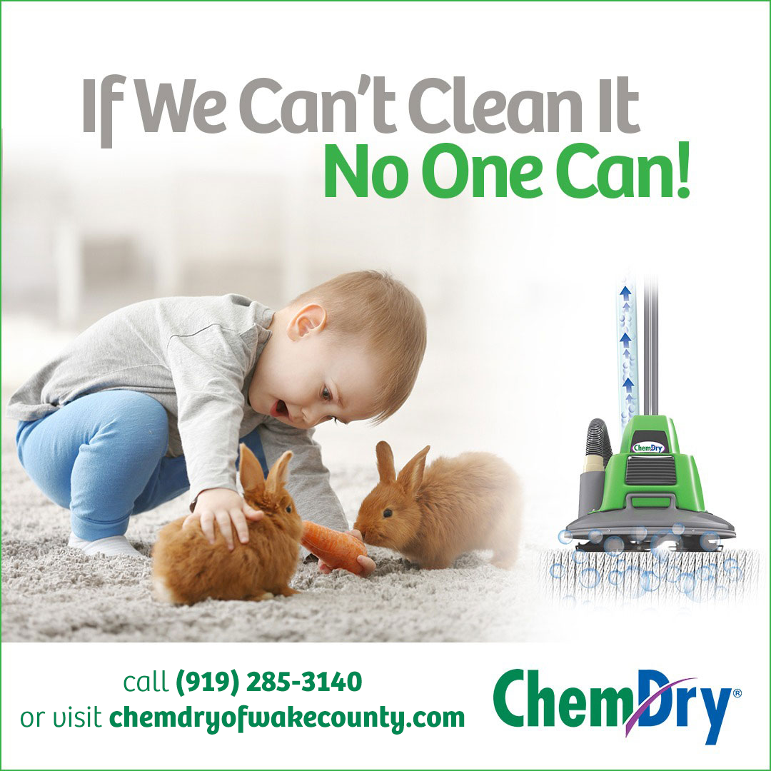 Chem-Dry if we can’t clean it no one can