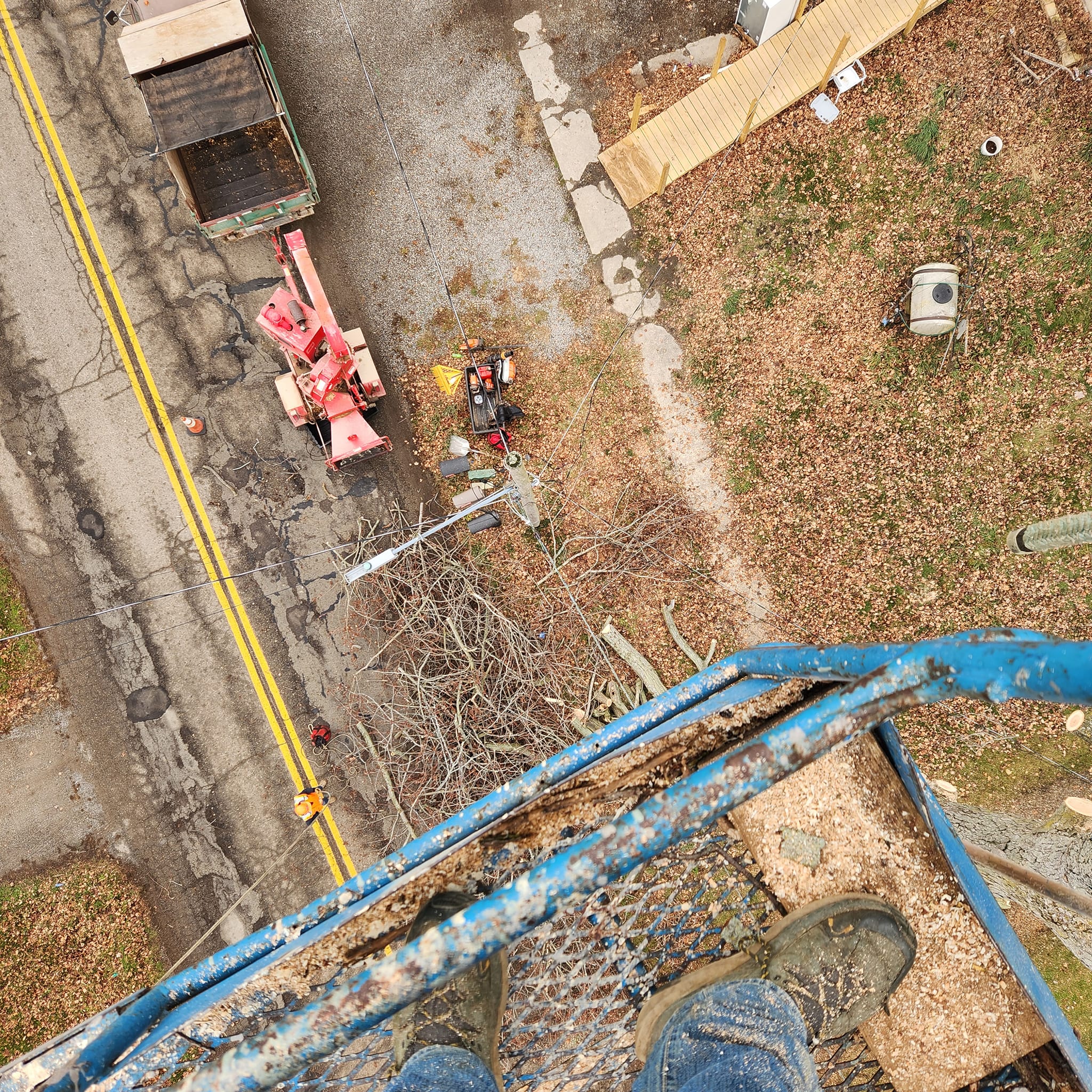 Milks Tree Service Inc Image