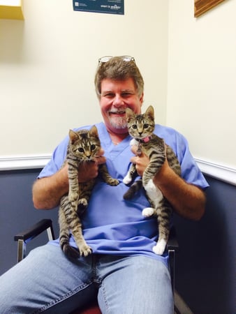 Images A Pet's Place of Clearwater