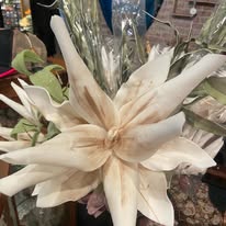 Images Clementines Boutique