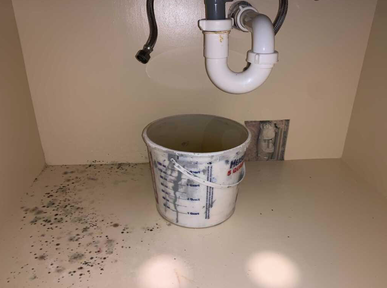 Any mold in your home or business should be treated with caution. Our SERVPRO of Greater Broken Arrow Professionals are certified and skilled in mold remediation.