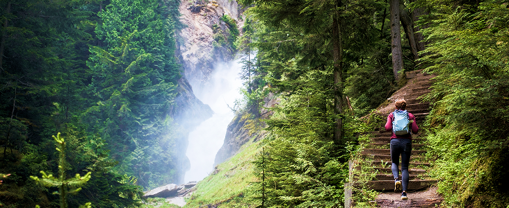 A person hiking at Glacier National Park.